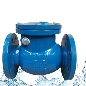 <span class=keywords><strong>Valve</strong></span> non-<span class=keywords><strong>retour</strong></span> malléable GGG40 à bride oscillante ANSI classe 125 DIN PN16 BS JIS DN50-DN300 pour système gaz résilient personnalisé - Product Image 5