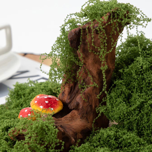 ดอกไม้ประดิษฐ์จากมอสพลาสติก น้ำหนักเบา เป็นมิตรกับสิ่งแวดล้อม จัดส่งเร็วจากคลังสินค้าในสหรัฐอเมริกา 30 กรัม (1.05 ออนซ์) / 150 กรัม (5.3 ออนซ์) - Product Image 1