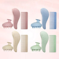 Brosse à Cheveux en ABS et Silicone à Logo Personnalisé avec Peigne Démêlant à Dents Larges, Masseur de Cuir Chevelu et Brosse de Shampoing pour Cheveux Bouclés Humides ou Secs