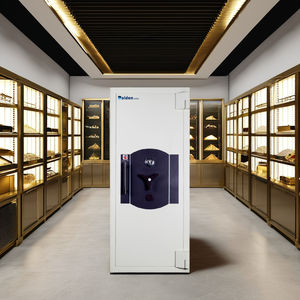 Caja Fuerte de Alta Seguridad Conqueror Safe 2 para Joyería, Resistente al Fuego y al Robo - Product Image 1