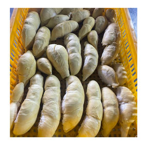 Premium Frozen Durian Vietnam Frozen Durian Meat Pulp IQF Trozos procesados para batidos Postre y uso en la industria alimentaria - Product Image 5