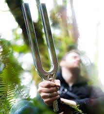 Diapasón de Precisión de 639 Hz |   Con martillo |   Para Terapia y Sanación con Sonido - Product Image 4