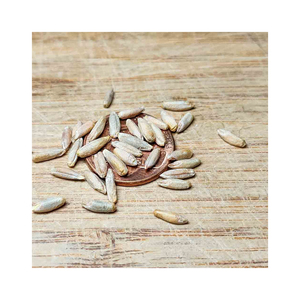 Roggekorrel Voor Dierlijke En Menselijke Voeding Van Biologische Tarwekorrels/Biologische Producten Gecertificeerde Biologische Roggebessen | 5 Pond Volkoren Tarwekorrel - Product Image 6