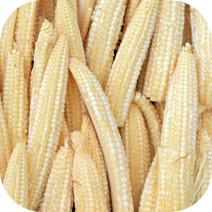 Maïs bébé surgelé de qualité supérieure, récolté et emballé rapidement pour l'exportation depuis le Vietnam - Product Image 3