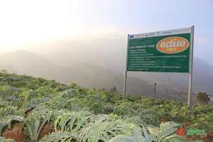 Los fabricantes venden extracto seco de hoja de alcachofa cualitativa de alimentos saludables salvajes de extracción líquida-sólida de alta calidad Vietnam - Product Image 2