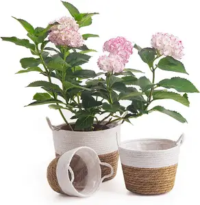 Modern Design Woven Plant Basket for Office Desk Decoration Flower and Plant Pots Indoor Planters