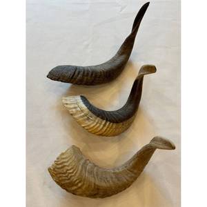 Cornes de buffle sculptées, idéales pour servir de cornes à boire et de cornes à souffler, adaptées à la revente - Product Image 1