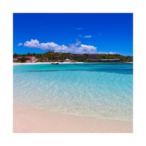 Compra Beech Long para proyectos de mejora del hogar disponibles en grandes cantidades a excelentes precios Beech Long es ideal para crear - Product Image 1