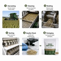Graines de chanvre sélectionnées de qualité supérieure, source de protéines végétales, superaliment pour l'industrie alimentaire, la nutrition et les collations