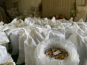 Tranches de gingembre séchées/ Saenggang/ Zanjabeel pour l'exportation - Haute qualité, meilleur prix garanti - Product Image 6