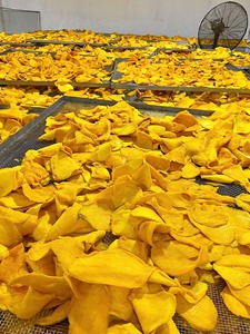 Sweet Soft Mango Slices - A Premium Snack, Soft and <b>Chewy</b>, Ideal for Wholesale and Bulk Orders - Product Image 5