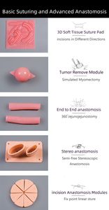 Boîte d'entraînement laparoscopique pour la simulation avec kit de suture, moniteur intégré et enregistrement vidéo caméra HD 1080p - Product Image 6