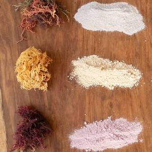 ผงสาหร่ายมอสทะเลไอริชบริสุทธิ์จากธรรมชาติสินค้าจำนวนมากจากผู้ผลิตในเวียดนาม - Product Image 6