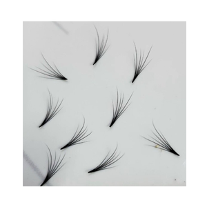 Cils préfabriqués 6D Camelia couleur marron cils naturels accessoires de beauté cils modernes fabricant du Vietnam - Product Image 1