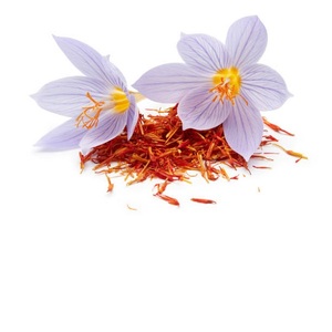 Azafrán indio natural puro 100% a precio mayorista - Product Image 2