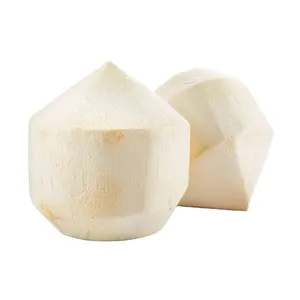 CUSTOMIZED BRAND DIAMOND-SHAPED COCONUT CHEAP PRICE AND QUICK RESPONSE WITH HIGH QUALITY AND CAREFULLY PACKAGED