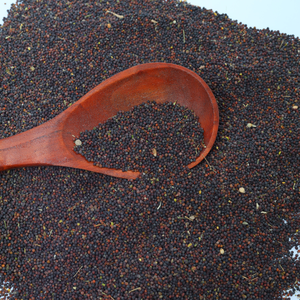 Semillas de mostaza crudas negras naturales al por mayor proveedor a granel calidad superior Grado de exportación embalaje personalizado semilla de mostaza cruda OEM - Product Image 3