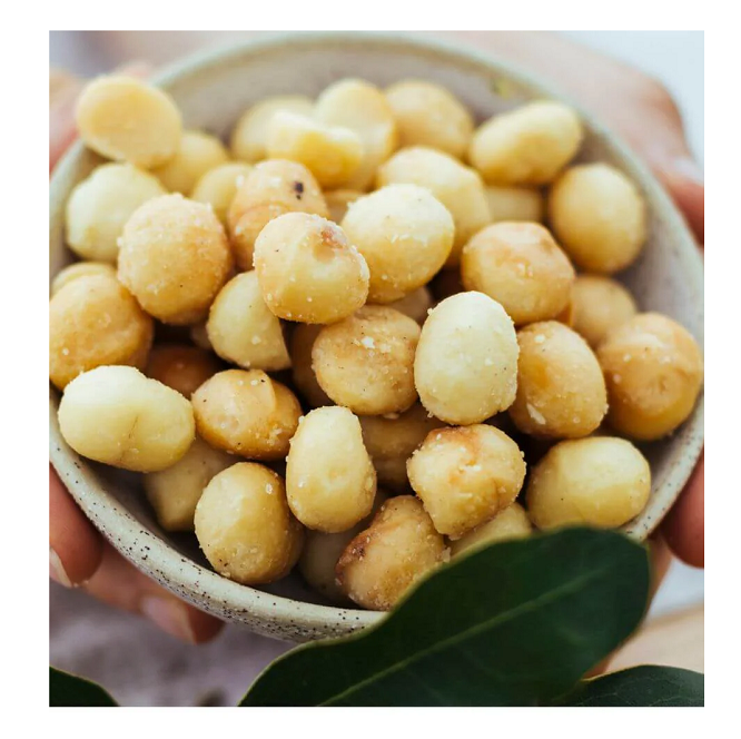 Organic Macadamia Nuts Dried Style Roasted to Perfection-Wholesale Offer for Food Use