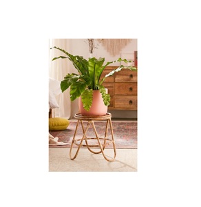 ชั้นวางกระถางต้นไม้ทำจากหวายและเหล็กสำหรับใช้ในบ้านในร่มและกลางแจ้ง - Product Image 2