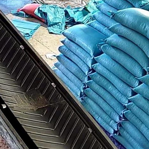 Maïs jaune séché en vrac de haute pureté et de texture supérieure pour la vente directe - Product Image 5