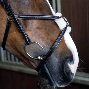 Bride de cheval en cuir véritable Bride de cheval en cuir véritable personnalisée Fabricants vendant une bride de cheval en cuir véritable - Product Image 2