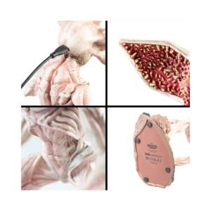 Lampe décorative LED Stranger Things - Design Demogorgon - Product Image 4