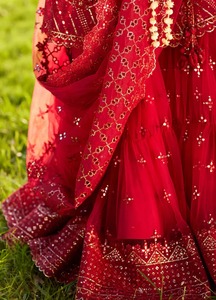 Ropa India pakistaní gasa completamente pesada bordada Anarkali Daman mangas bordadas CutWork borde 50 pulgadas Ghera encaje - Product Image 6