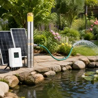 Pompe solaire auto-amorçante MPPT DL-LP3-2 12V 24V, pompe à eau CC sans balais en acier inoxydable pour jardin et ferme