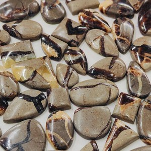 Lote de cabujón septario marrón, 10 piezas, forma de pera ovalada, 20x25 MM, piedras preciosas para colgante, fabricación de joyas, regalo de Navidad para ella - Product Image 4