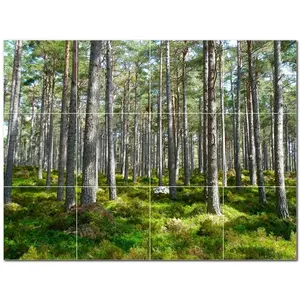 Murale Murale PT501034 Arbres Carreaux de Céramique 12x12 (12) Carreaux Design Complexe pour Décoration Intérieure, 48 "x 36" - Product Image 1