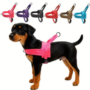 Collares y Correas para Perros y Gatos de Alta Calidad Personalizados OEM - Product Image 1