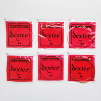 DEXTER Premium Nickel Acoustic Guitar Strings Model AG1254 Ready-to-Ship Wholesale Top-Tier Made in China