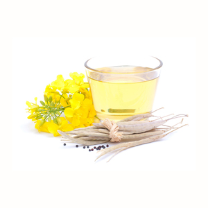 Aceite de canola Aceite de colza Venta a la venta al por mayor Aceite de canola a granel para la venta Regalo Mason Botella Embalaje de vidrio Embalaje - Product Image 3