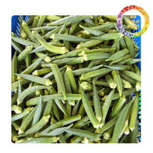 IQF gombo congelé | L'un des meilleurs choix pour des repas sains | Approvisionnement en vrac du Viet Nam - Product Image 6