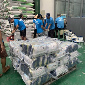 Gạo 100% Hom Mali <span class=keywords><strong>A1</strong></span> GẠO THƠM siêu thơm Riz Blanc casse-ms. Ellen - Product Image 6