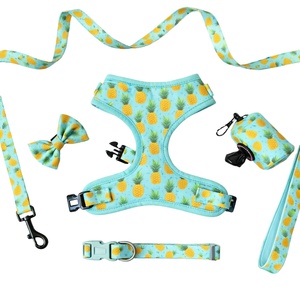 Ensemble de harnais pour chien coloré avec harnais rembourré respirant, collier assorti, laisse, nœud papillon, bandana et porte-sac à crottes coordonné - Product Image 1
