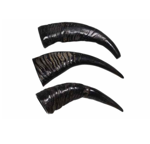 Corne de buffle d'eau décorative, noire naturelle, 4 pièces, moderne, écologique, décoration intérieure pour salon - Product Image 6