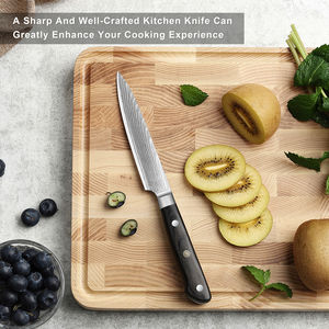 Cuchillo de Cocina Profesional de 5 Pulgadas, 67 Capas de Acero Damasco AUS-10, Cuchillo para Pelar y Cortar Frutas con Mango Azul G10 - Product Image 6