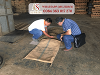 Arabica Kaffeebohnen 18 Gewaschene Grüne Kaffeebohnen, Café Bohnen, Produkte aus Vietnam, 60kg Jutesack, Jermy 0084 363 017 270