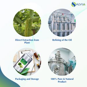 Huile essentielle de courge amère en gros, 100% pure, naturelle, liquide à base de bois, boîte personnalisée, approvisionnement OEM pour les soins de santé - Product Image 4