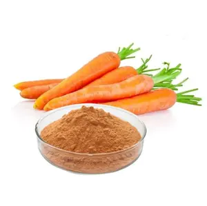 Aromaaz International Offer 100% Pure Plant Extract Carrot Seed Oil at low prices with MSDS Safety Certificate
