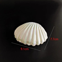 Boîte d'emballage en plastique de petite coquille de galvanoplastie créative Boîte d'emballage cadeau Boucles d'oreilles Anneaux Perle Bijoux Organisateur Titulaire