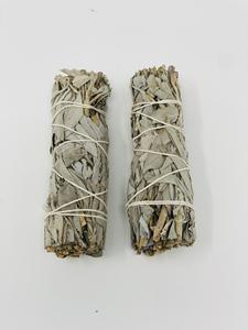 Bholi Sage Plus Premium Quality Grado superior Venta caliente California White Sage 4 pulgadas - Product Image 5