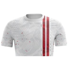 Uniformes de Fútbol Transpirables de Secado Rápido para Adultos Unisex, Sublimación Personalizada, Ecológicos, 100% Poliéster, Kits de Fútbol de Manga Corta - Product Image 4