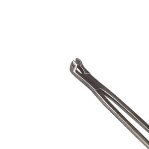 Fórceps de extracción molar equino de acero inoxidable para uso veterinario, Instrumentos dentales de caballo, extracción de dientes de cuatro raíces, duradero, reutilizable - Product Image 4