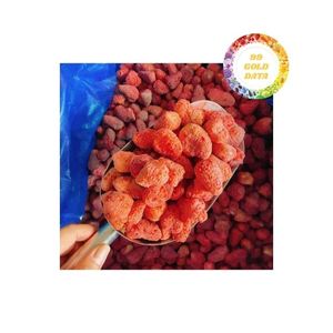Suministro de fábrica de fresas secas crujientes de Vietnam, Delicioso aperitivo de fruta dulce, ideal para paquetes de regalo y ventas de supermercados - Product Image 4