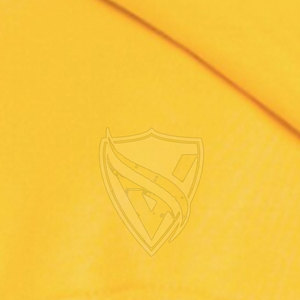 Sudadera con Capucha VA-806 para Hombre, Estilo Moderno, Ecológica, 100% Algodón, Tejido de Felpa, Estampada, 350g, Color Sólido Azul y Amarillo, Corte Regular - Product Image 6