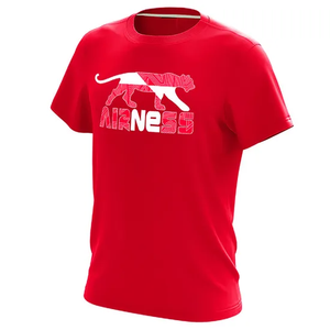 Vente en gros de chemises de golf 100% polyester anti-rides avec logo personnalisé vêtements pour hommes t-shirts polo pour hommes - Product Image 2