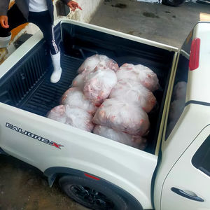 ขาไก่แช่แข็งฮาลาลสแตนเลสสำหรับขาย - Product Image 1