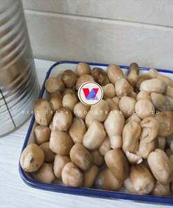 CHAMPIGNONS DE PAILLE EN CONSERVE POUR LE SOUTIEN DE LA SANTÉ INGRÉDIENTS VÉGAINS PURS ÉTIQUETTE PROPRE ALIMENTS ENTIERS À BASE DE PLANTES - Product Image 5